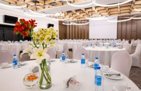 سالن پارادایز | سالن‌های هتل‌های بین‌المللی فرودگاهی رکسان